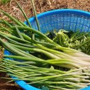 천지의료기 이미지