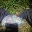 운문마을회관 | 영남알프스 실크로드 종주