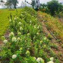 수목원파크 이미지