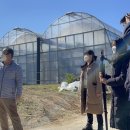 서주길(와룡면) 이미지