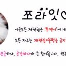 스마일플러스동물병원