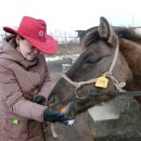 오케이승마목장 이미지