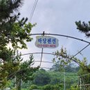마로니에민박 네이버블로그