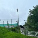 성복배수지 테니스장 이미지