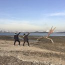 분당고등학교 이미지