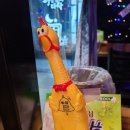 닭발집 이미지