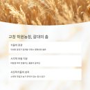 펀치볼민박 이미지