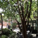 사평대로20길 29 이미지