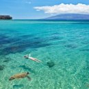 베이힐풀앤빌라 이미지