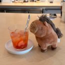 한별치과의원 | [임신 5-14주차] 게으른 나는 임신 10주간의 여정을 한번에 정리하지