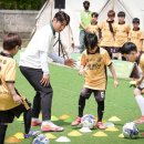 매우축산 일간스포츠