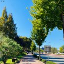 경희한약국 순수 이미지