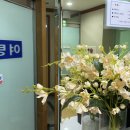 석미목욕탕
