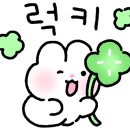 모자이크 어거스트 네이버블로그