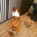복자샵