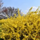 금호강2 이미지