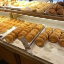 캐리비안 휘트니스 이미지