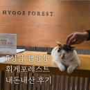 휘게 | 평창 5성급 캠핑장 휘게포레스트 내돈내산 후기