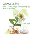 엔제리너스커피광양