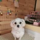 이쁘개(내포신도시점) 이미지