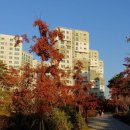 해오름부동산중개사무소 이미지