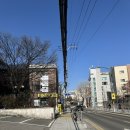 명륜손칼국수 | 혜화 맛집 명륜손칼국수 방문 후기 내돈내산