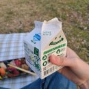 CU합성스마일 | 덴마크 드링킹 요구르트 제로 사과 맛 리뷰 편의점 신상 락토프리 요거트 유산균 음료