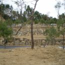 전원약국 이미지