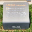 도남정비 | 성주 벽진면 연봉산 산책로 - 성산동 고군분 답사