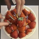 메러디스빅토리 이미지