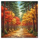 솔향수목원(암석원) | 푸른 소나무 숲에 '붉은 물감'이 뚝! 강릉 솔향수목원, '숨겨진 단풍 명소' (10월 4주차)