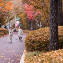 호텔에서 단풍 놀이하며 추(秋)구미 찾아볼까 가을의 취향 담은 각양각색 호캉스 추구미 상품 눈길 이미지