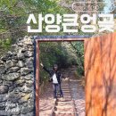 산양큰엉곶 겨울 소요시간 예약 입장료 포토존 총정리