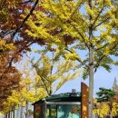 로빈관반점 이미지