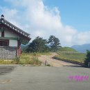 신덕고분군 이미지