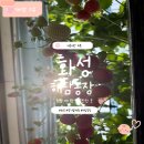 완인농장 | <화성> 화성 아기랑 가볼만한 곳 내돈내산 해담 딸기농장 후기