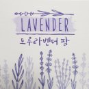 광치농장 이미지