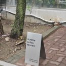 멈블 | 파주 법원리 카페 :: 멈블 내돈내산 후기