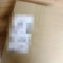 분위기 살리는 이벤트 기념일 토퍼 라온ZENA 주문 솔직후기