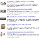 캣독 캣독(CATDOG CATDOG) | 성남강아지분양 수정구부터 중원구, 분당애견분양까지!