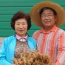 이절농원