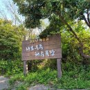 나로우주해수욕장 네이버블로그