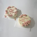 COZY | 대전 관평동 주문 제작 케이크 코지 COZY/돌 케이크 후기