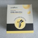 유니베라 수영