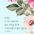 중보