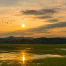 우포의 숲속 이미지