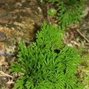 김영규농장 이미지