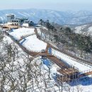"이걸 보려고 다들 설악산 대신 간다" 단 20분에 도착하는 1,381m 설경 이미지