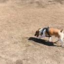 아이튼튼 동물병원 이미지