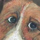 금동헬스 이미지